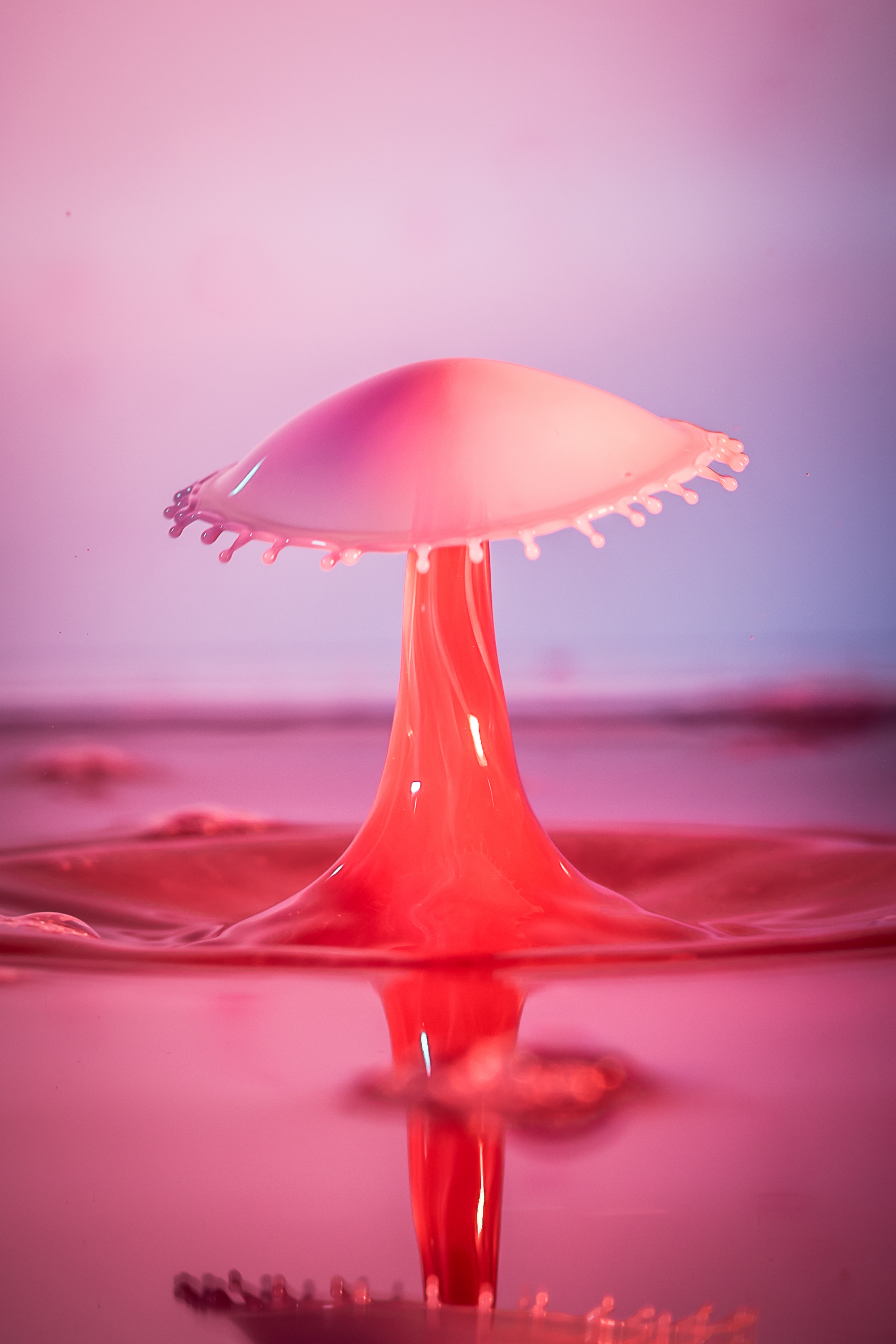 AKA_8142 — Nexus Studio