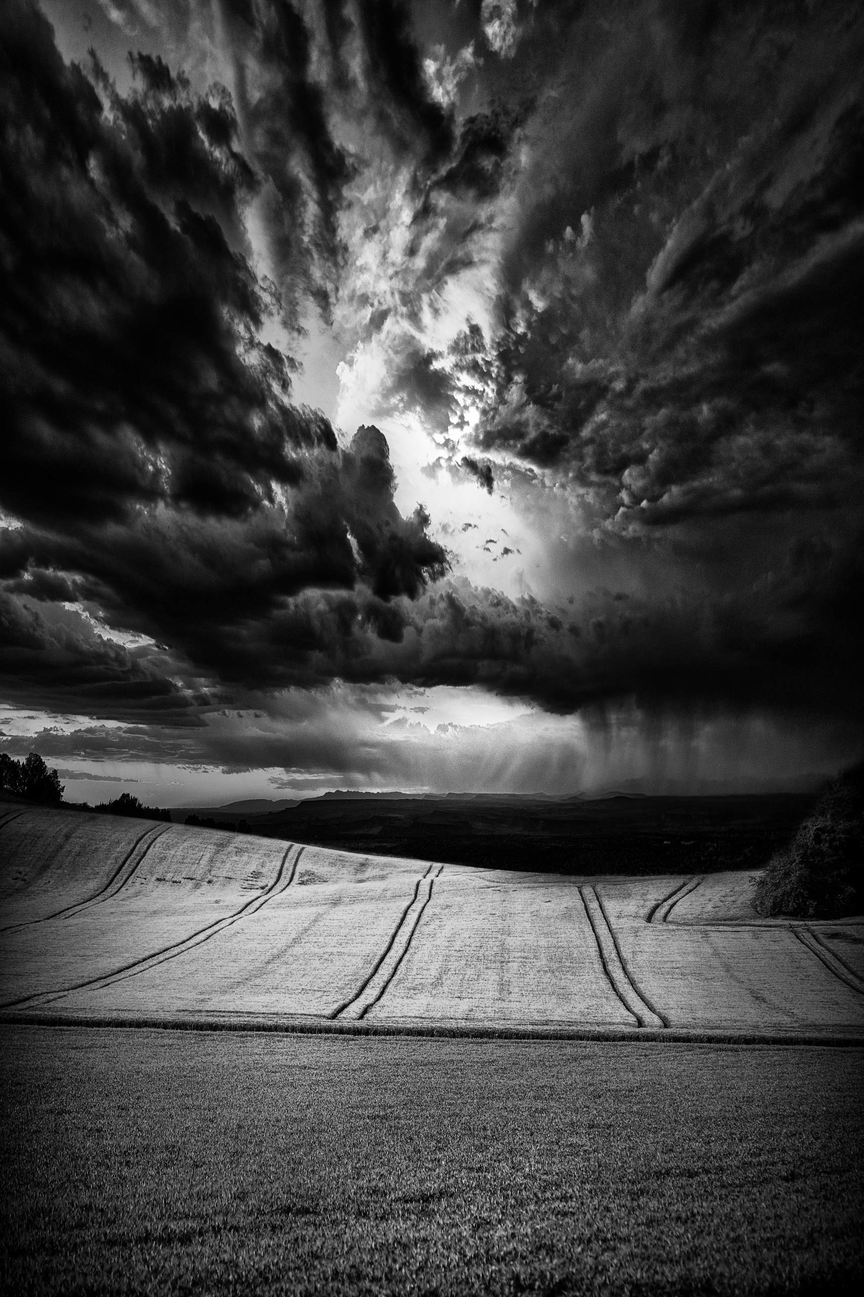 paysage-1 — Nexus Studio